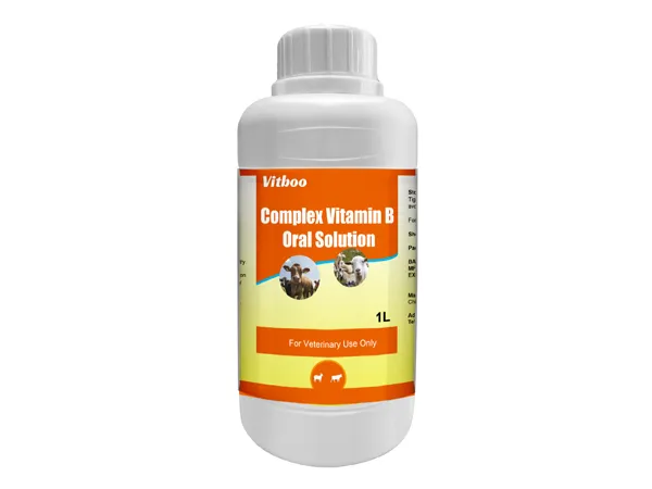Complex Vitamin B Oral Solution