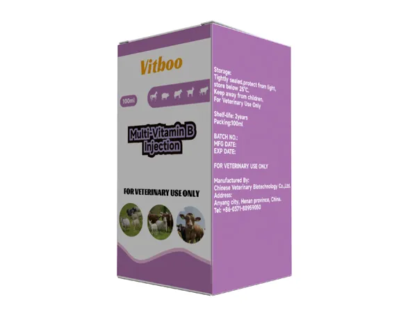 Multi-Vitamin B Injection