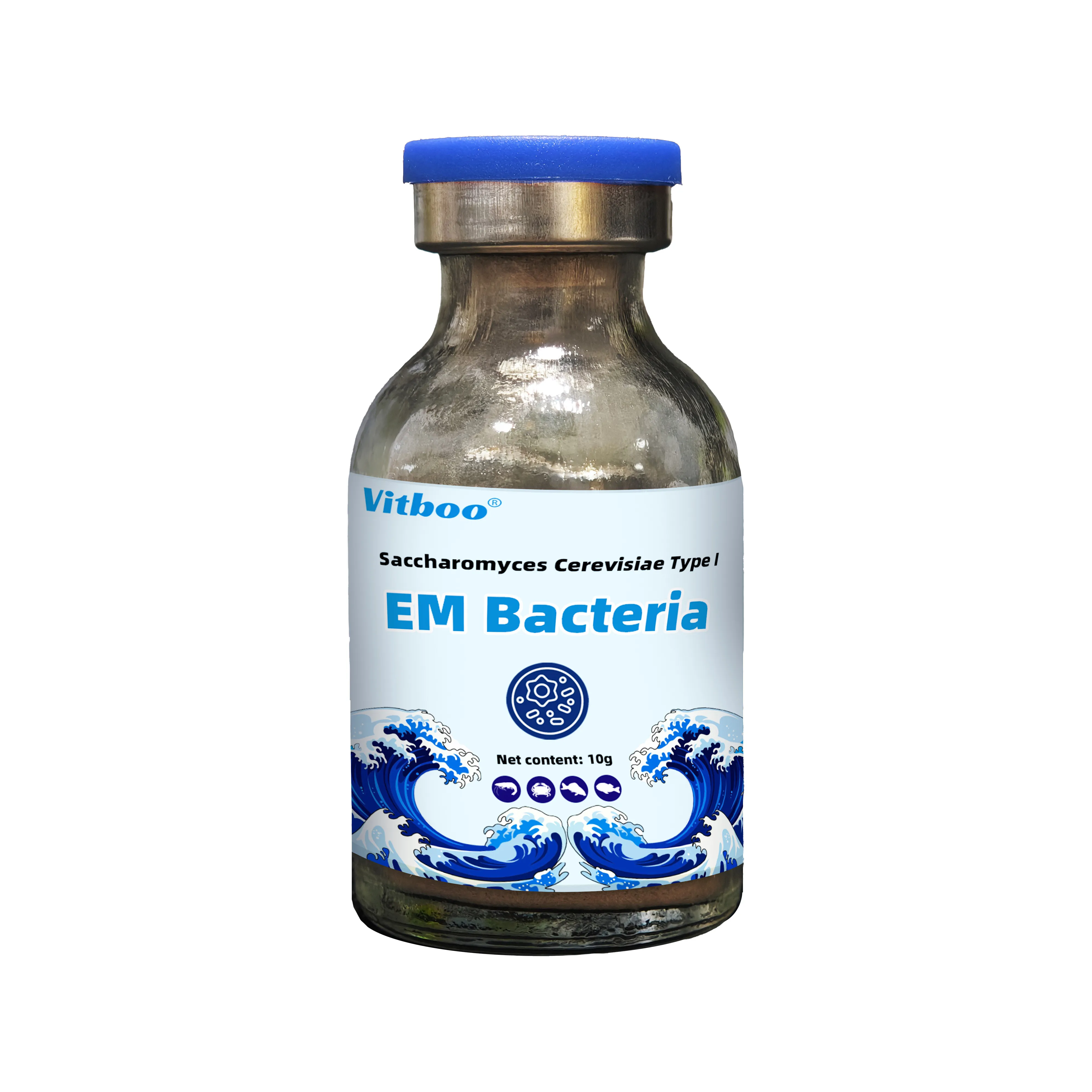 Em bacteria