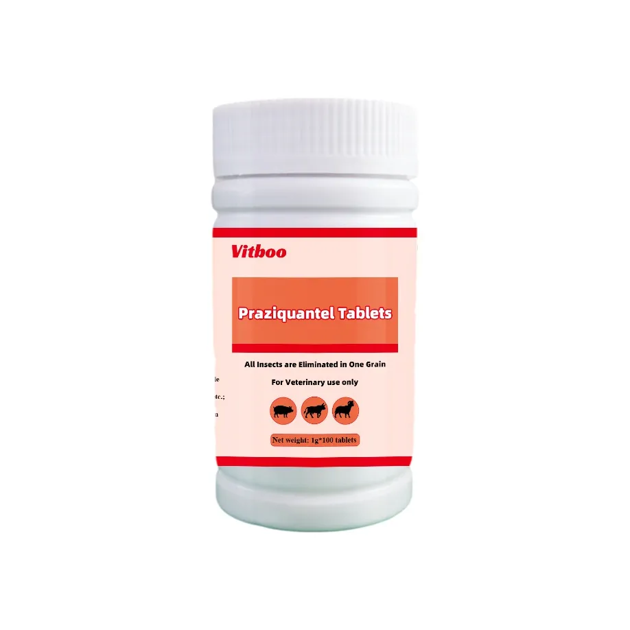 Praziquantel Tablets