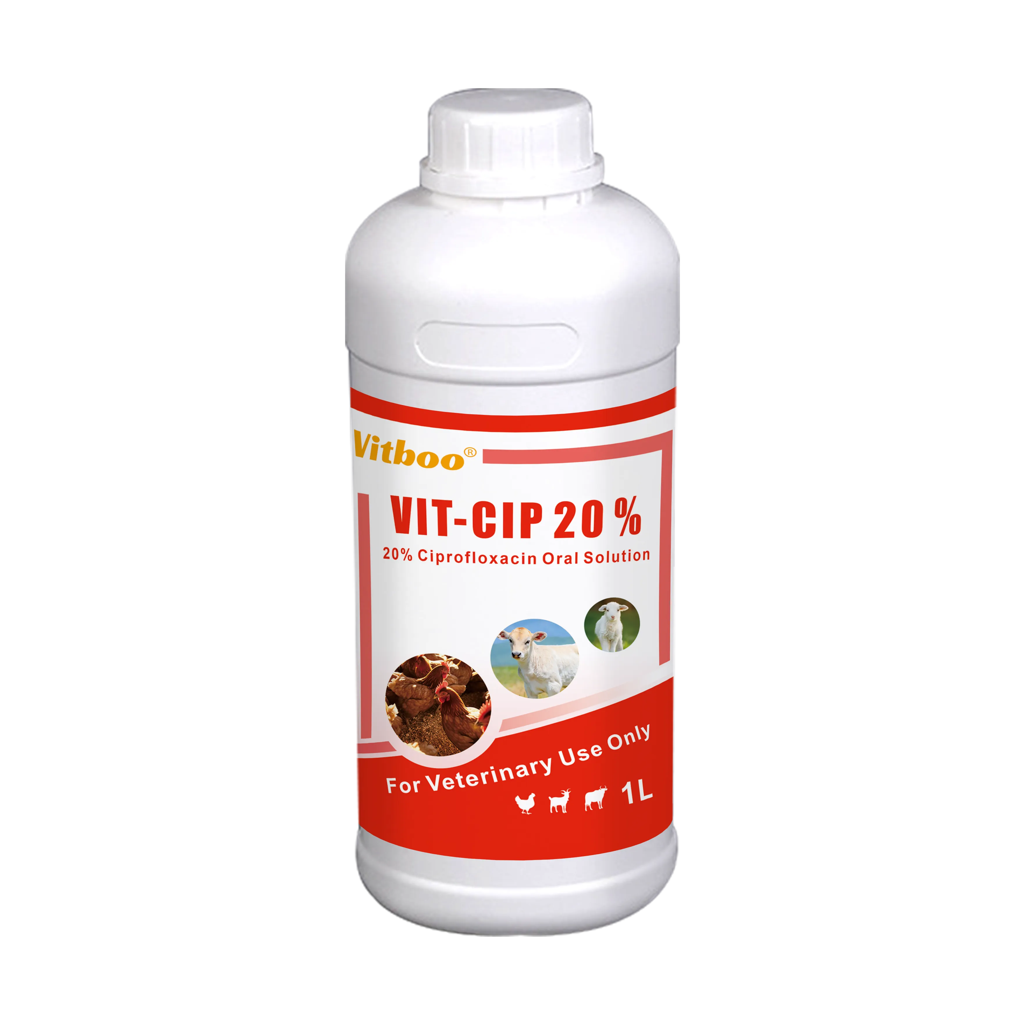 Ciprofloxacin 20% Oral Solution