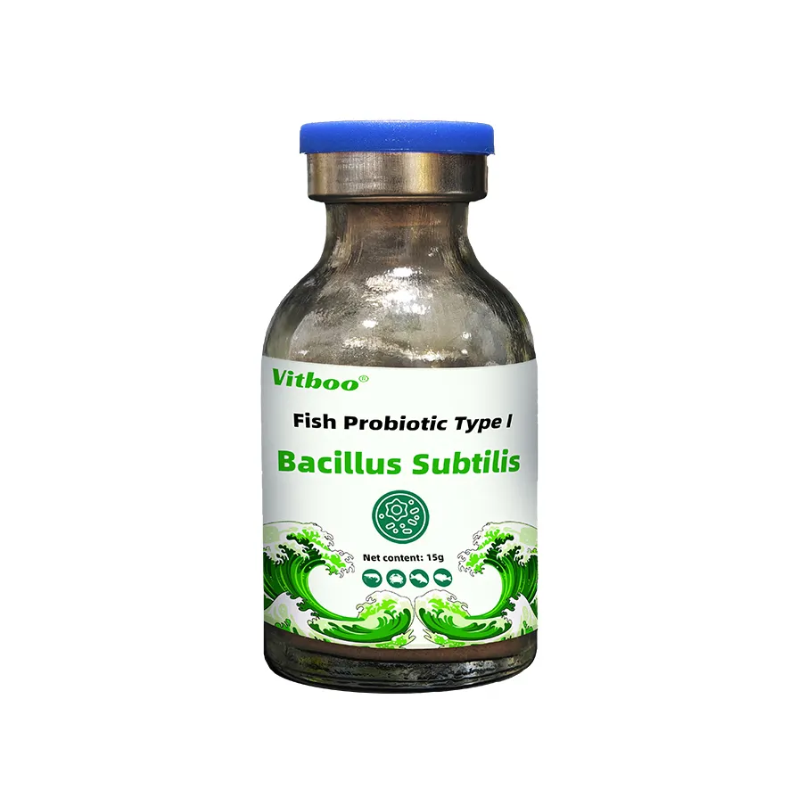 Bacillus subtilis