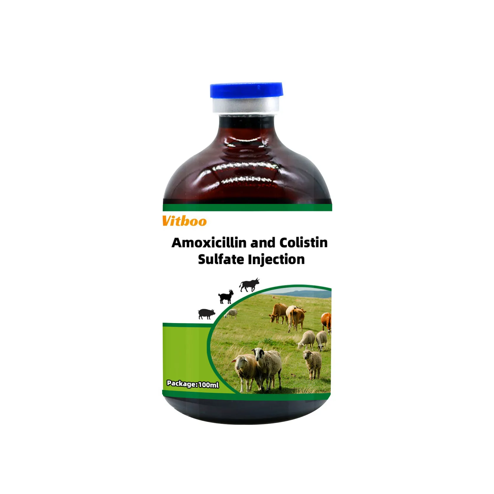 Amoxicillin and Colistin Sulfate Injection