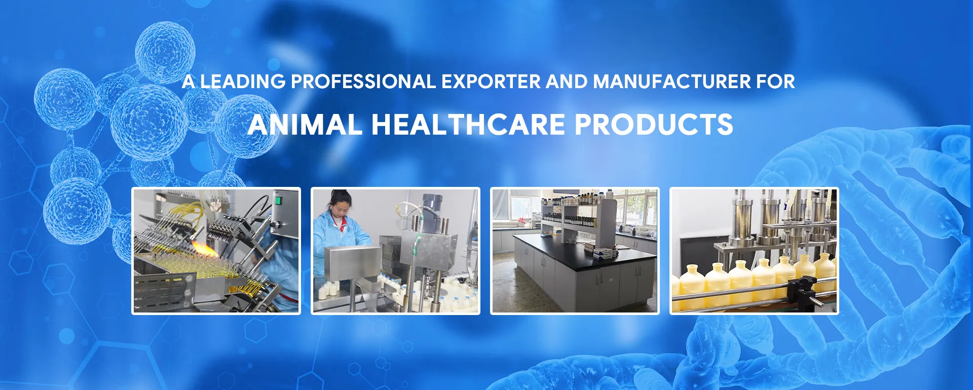 Animal Healthcare Product