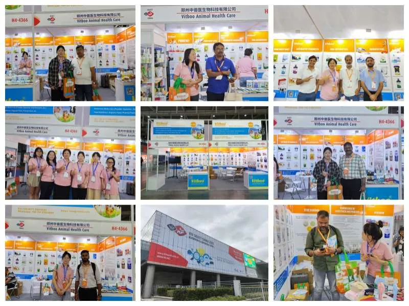 Vitboo at VIV SELECT CHINA 2025: Providing customized feed additive solutions for the livestock industry with professional OEM capabilities