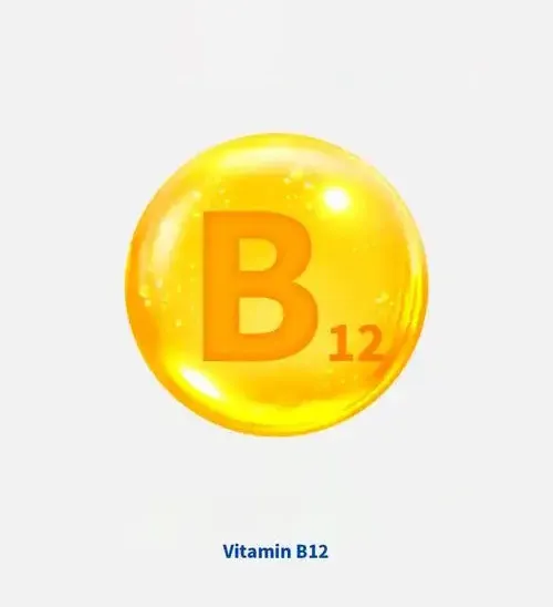 What happened to the once most popular vitamin now? Analysis of the current situation of VB12 industry