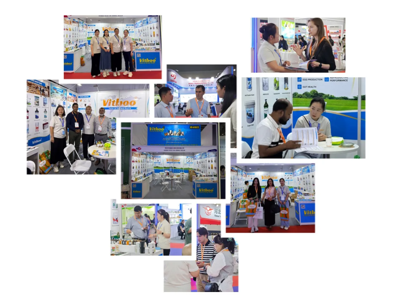 Vitboo Shines at VIV Select China 2026: Connecting Global Livestock Partners in Shanghai